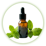 Piperita Herb Oil
